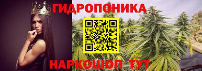 СК Бугуруслан