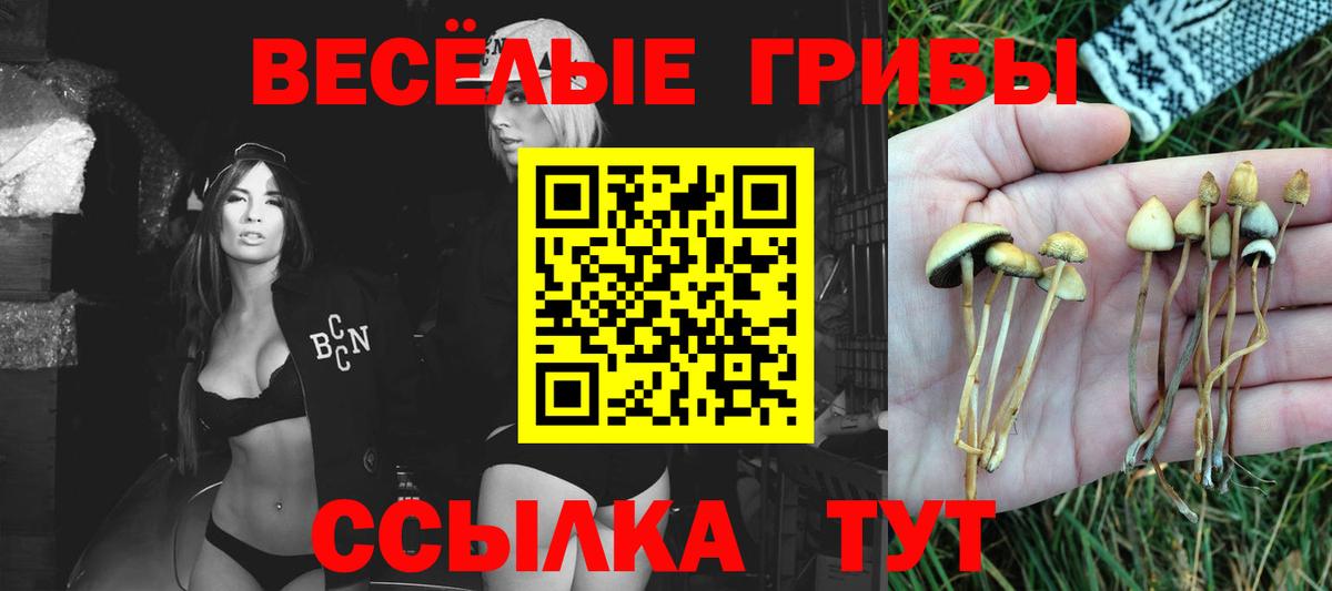Галлюциногенные грибы GOLDEN TEACHER Краснотурьинск