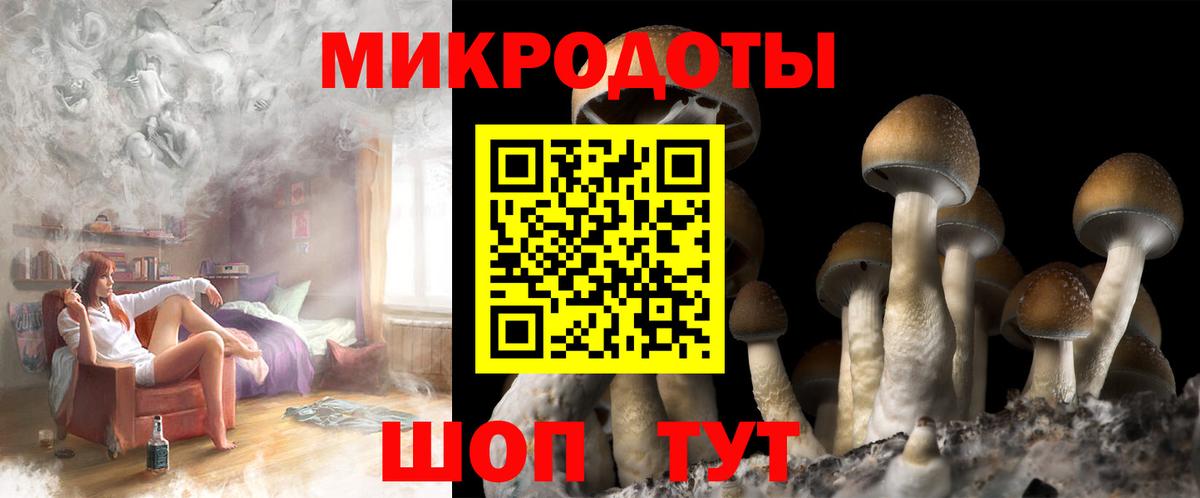 Псилоцибиновые грибы Psilocybe  Галлюциногенные грибы MAGIC MUSHROOMS  Краснотурьинск  Вход с VPN 